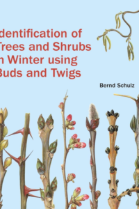 Book titled "Identification of Trees and Shrubs in Winter Using Buds and Twigs"